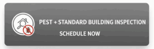 Standard Pest & Building Inspection